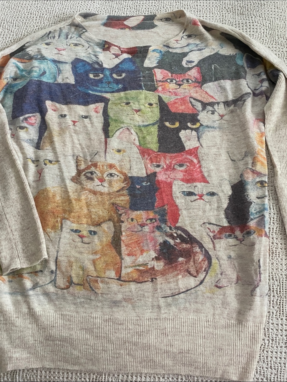 Avant garde cat sweater. Small. soft.  oatmeal color. No stains or holes.